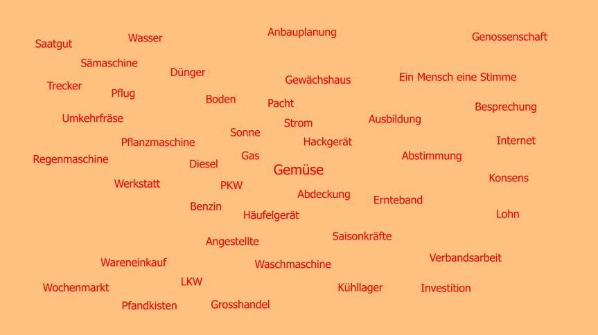 Saatgut Boden Waschmaschine Wasser Besprechung Wareneinkauf Sonne Wochenmarkt Ausbildung Abstimmung Konsens Sämaschine Trecker Ein Mensch eine Stimme Grosshandel Diesel Genossenschaft Pacht Pflanzmaschine Gewächshaus Dünger Verbandsarbeit Pflug Umkehrfräse Werkstatt Regenmaschine Pfandkisten LKW PKW Benzin Internet Strom Gas Ernteband Hackgerät Häufelgerät Abdeckung Angestellte Saisonkräfte Gemüse Kühllager Anbauplanung Investition Lohn